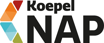 NAP logo